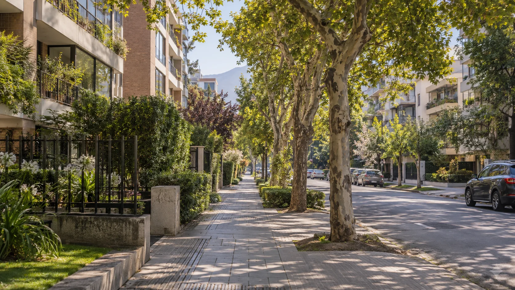 Calle arbolada y edificios residenciales en Ñuñoa